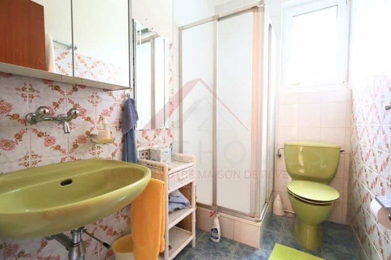 Delémont - Propriété avec 3 appartements et fort potentiel de valorisation dans un quartier central (10)