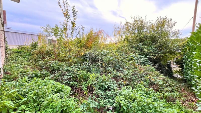 Boncourt - Terrain constructible avec bâtiment existant, idéal pour rénovation ou projet neuf (2)