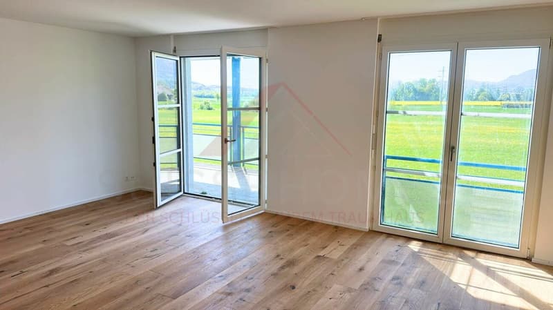 Willkommen in Ihrem neuen Zuhause - stilvoll renoviert am grünen Stadtrand von Solothurn (5)