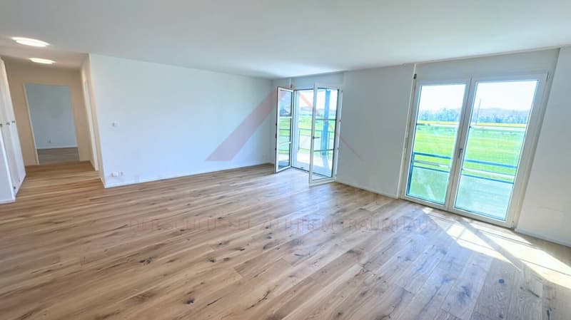 Willkommen in Ihrem neuen Zuhause - stilvoll renoviert am grünen Stadtrand von Solothurn (2)