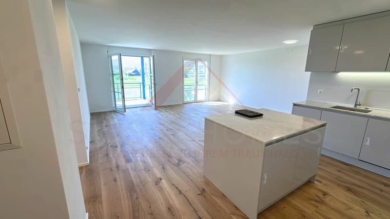 Willkommen in Ihrem neuen Zuhause - stilvoll renoviert am grünen Stadtrand von Solothurn (1)