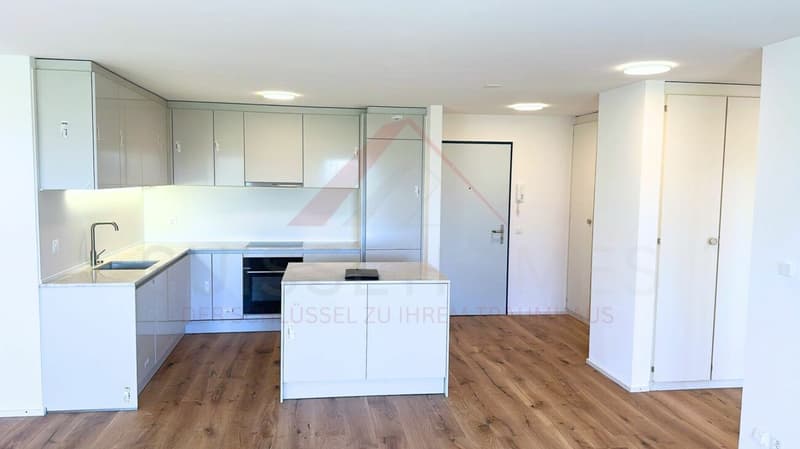 Willkommen in Ihrem neuen Zuhause - stilvoll renoviert am grünen Stadtrand von Solothurn (4)