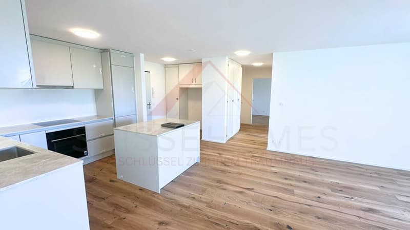 Willkommen in Ihrem neuen Zuhause - stilvoll renoviert am grünen Stadtrand von Solothurn (3)