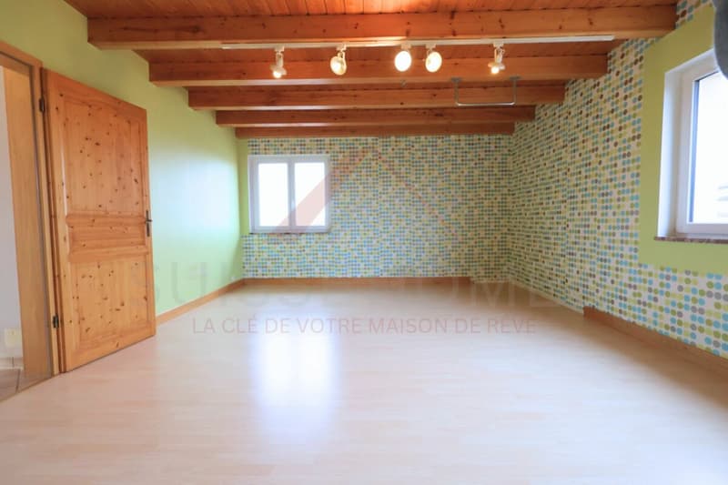 Maison familiale d'exception avec piscine, sauna et grand jardin à La Brillaz (17)