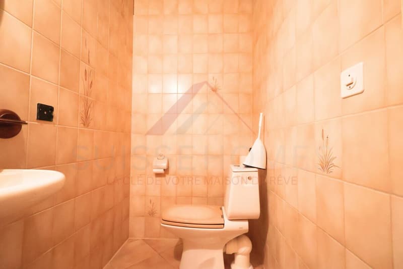 Maison familiale d'exception avec piscine, sauna et grand jardin à La Brillaz (25)