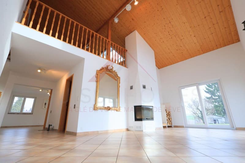 Maison familiale d'exception avec piscine, sauna et grand jardin à La Brillaz (5)