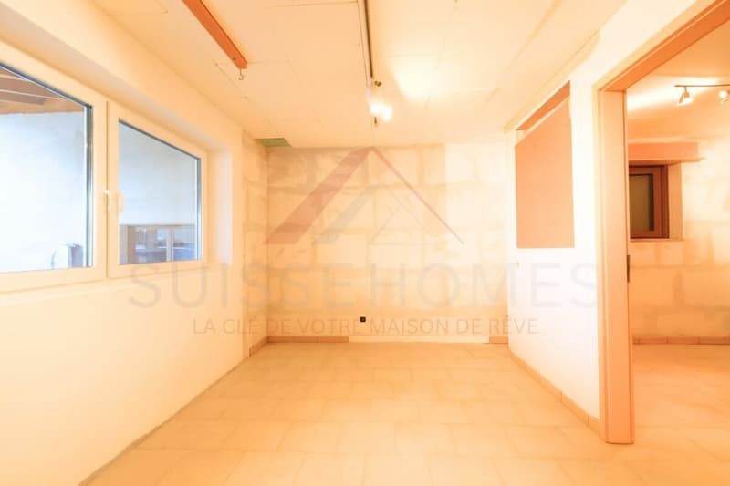 Maison familiale d'exception avec piscine, sauna et grand jardin à La Brillaz (19)