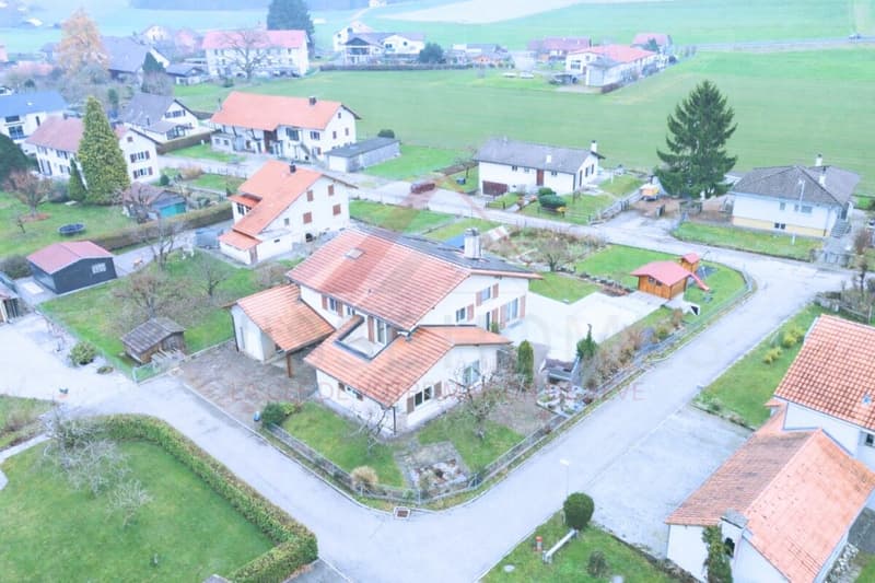 Maison familiale d'exception avec piscine, sauna et grand jardin à La Brillaz (2)
