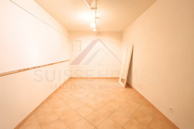 Maison familiale d'exception avec piscine, sauna et grand jardin à La Brillaz (21)