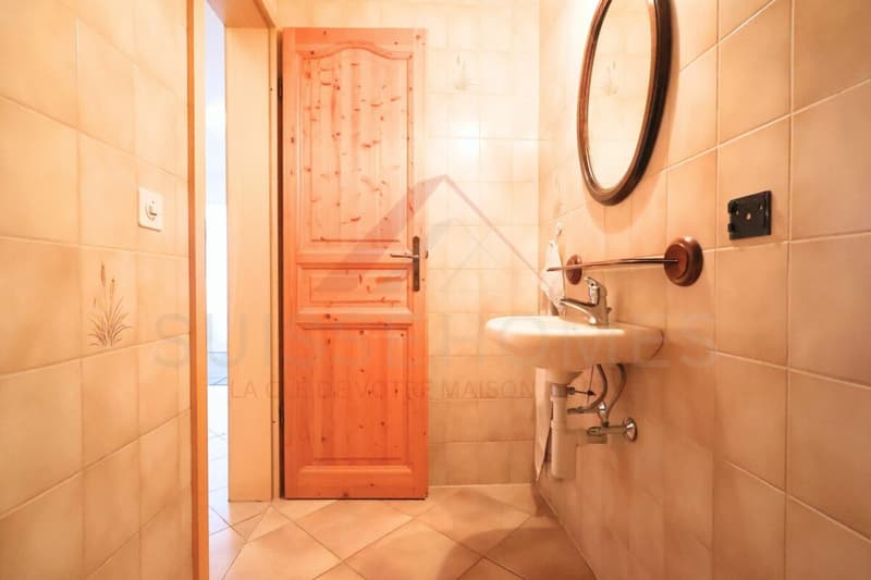 Maison familiale d'exception avec piscine, sauna et grand jardin à La Brillaz (24)