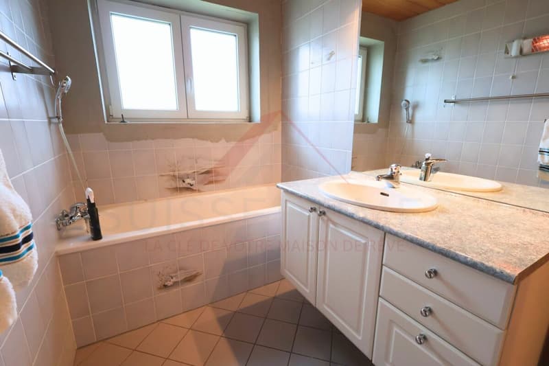 Maison familiale d'exception avec piscine, sauna et grand jardin à La Brillaz (23)