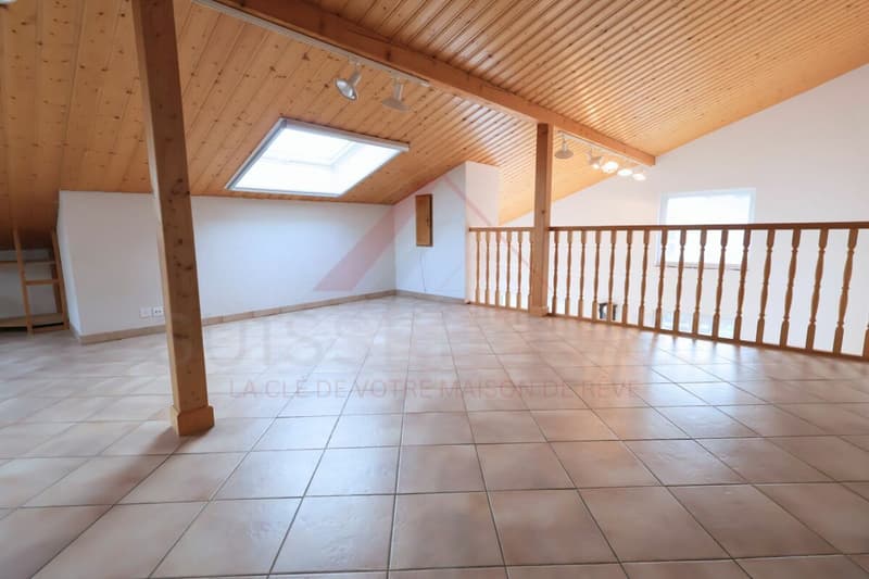 Maison familiale d'exception avec piscine, sauna et grand jardin à La Brillaz (11)