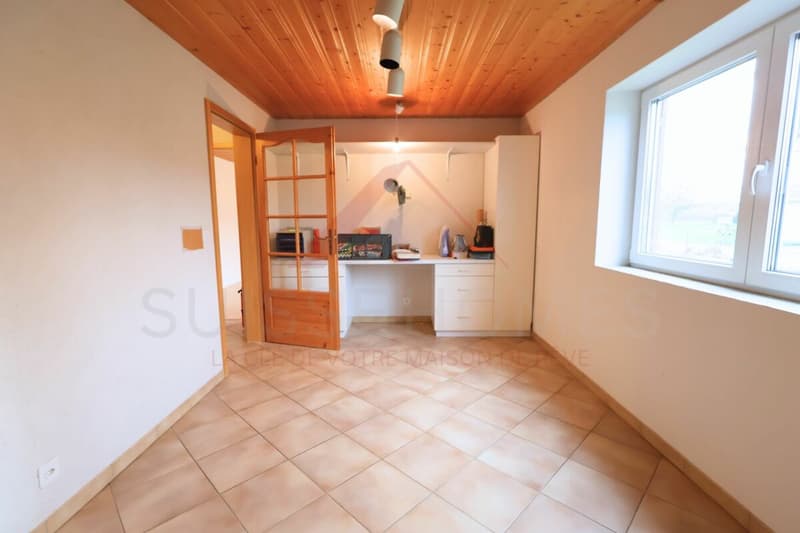 Maison familiale d'exception avec piscine, sauna et grand jardin à La Brillaz (18)