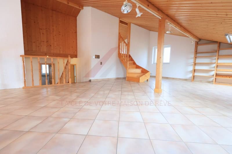 Maison familiale d'exception avec piscine, sauna et grand jardin à La Brillaz (10)