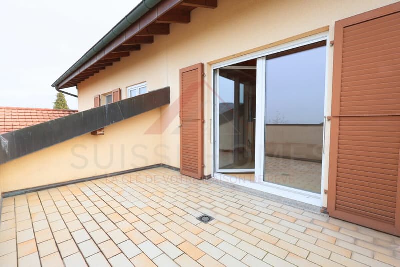 Maison familiale d'exception avec piscine, sauna et grand jardin à La Brillaz (13)