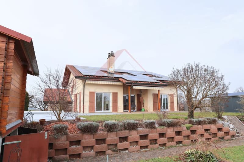 Maison familiale d'exception avec piscine, sauna et grand jardin à La Brillaz (4)