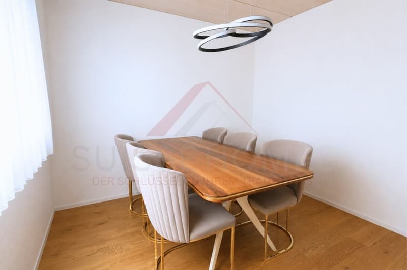 Neuwertiges 5.5-Zimmer-Reihenhaus mit Pool und grosszügigem Grundstück (11)