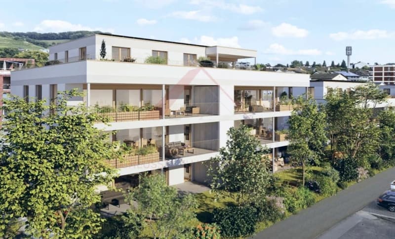 Exklusive 4.5-Zimmer-Neubauwohnung in Döttingen - letzte verfügbare Einheit (2)