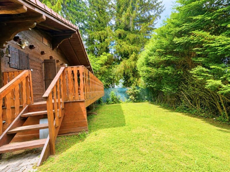 Rare opportunité - Chalet entièrement rénové à vendre à Lausanne (6)