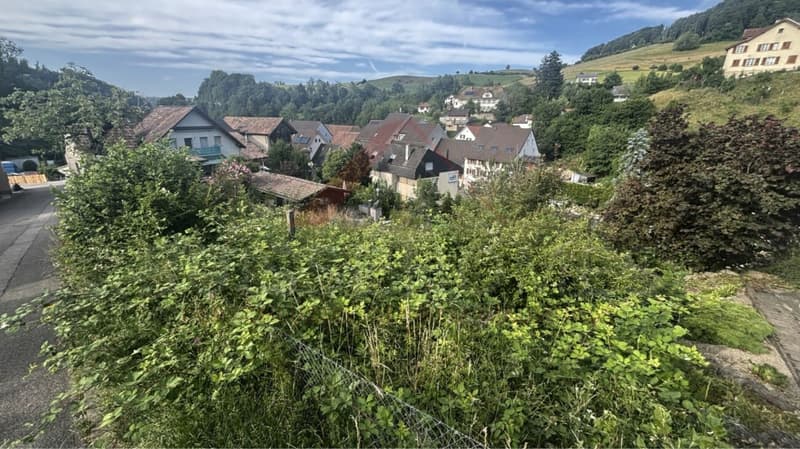 Im Baselbiet Ihr Traum vom kompakten Eigenheim: Sonnige Baulandparzelle (7)