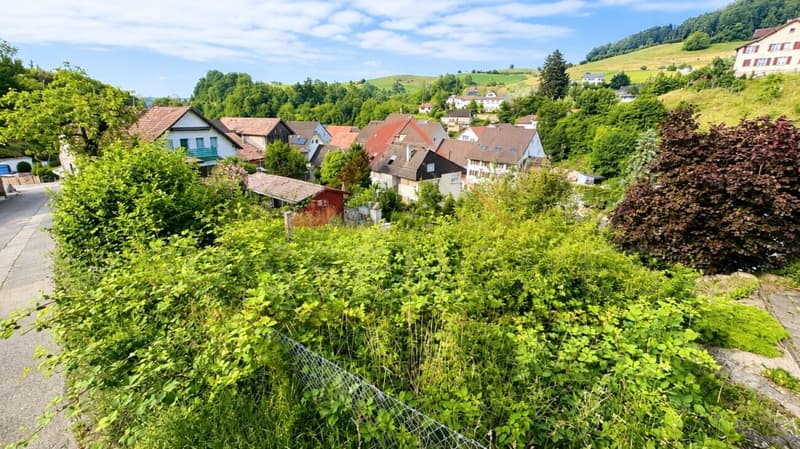 Im Baselbiet Ihr Traum vom kompakten Eigenheim: Sonnige Baulandparzelle (6)