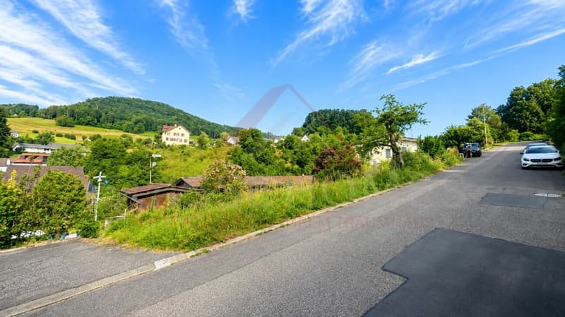 Im Baselbiet Ihr Traum vom kompakten Eigenheim: Sonnige Baulandparzelle (7)