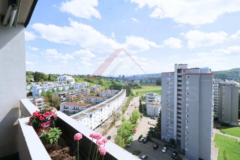 Seltene Investmentchance mit laufenden Einnahmen in Opfikon (14)