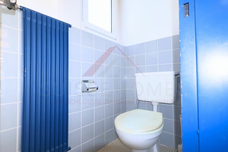 Traumhafte Seesicht am Bielersee 8.5 Zimmer Haus mit Pool und 1'443 m² Grundstück (28)