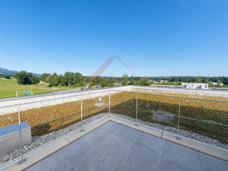 Gewerbefläche mit Potenzial - 160 m² im modernen Neubau in Buchrain (4)