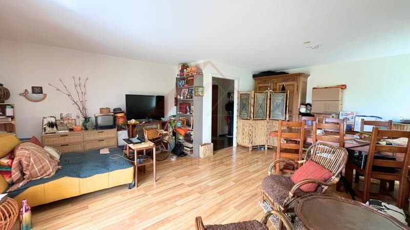 Vue panoramique exceptionnelle - Magnifique 3.5 pièces avec loggia habitable (3)