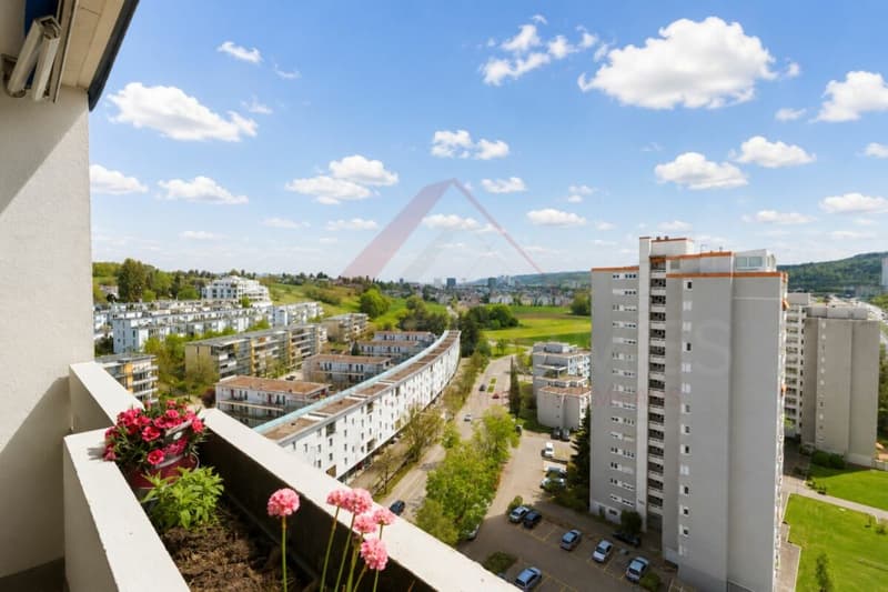 Seltene Investmentchance mit laufenden Einnahmen in Opfikon (16)