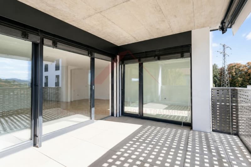 Wohnen mit Stil - moderne 4.5-Zimmer-Wohnung in Düdingen mit grosszügigem Raumgefühl (7)