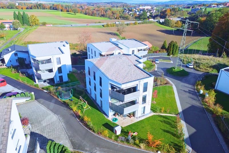 Wohnen mit Stil - moderne 4.5-Zimmer-Wohnung in Düdingen mit grosszügigem Raumgefühl (1)