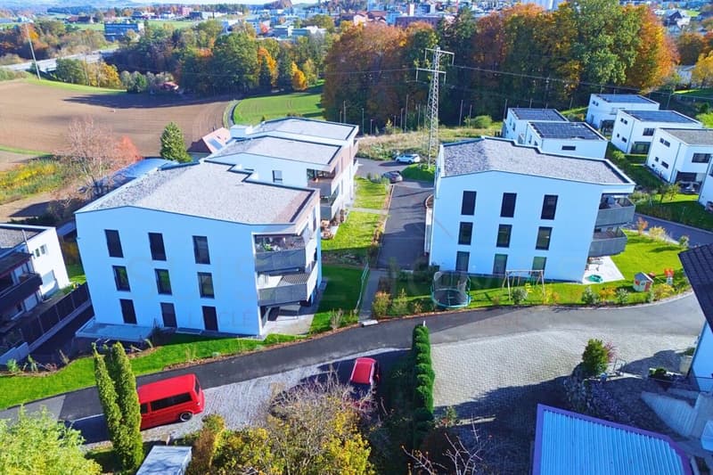 Vivre avec style : superbe appartement de 4.5 pièces à Düdingen avec de beaux volumes (2)