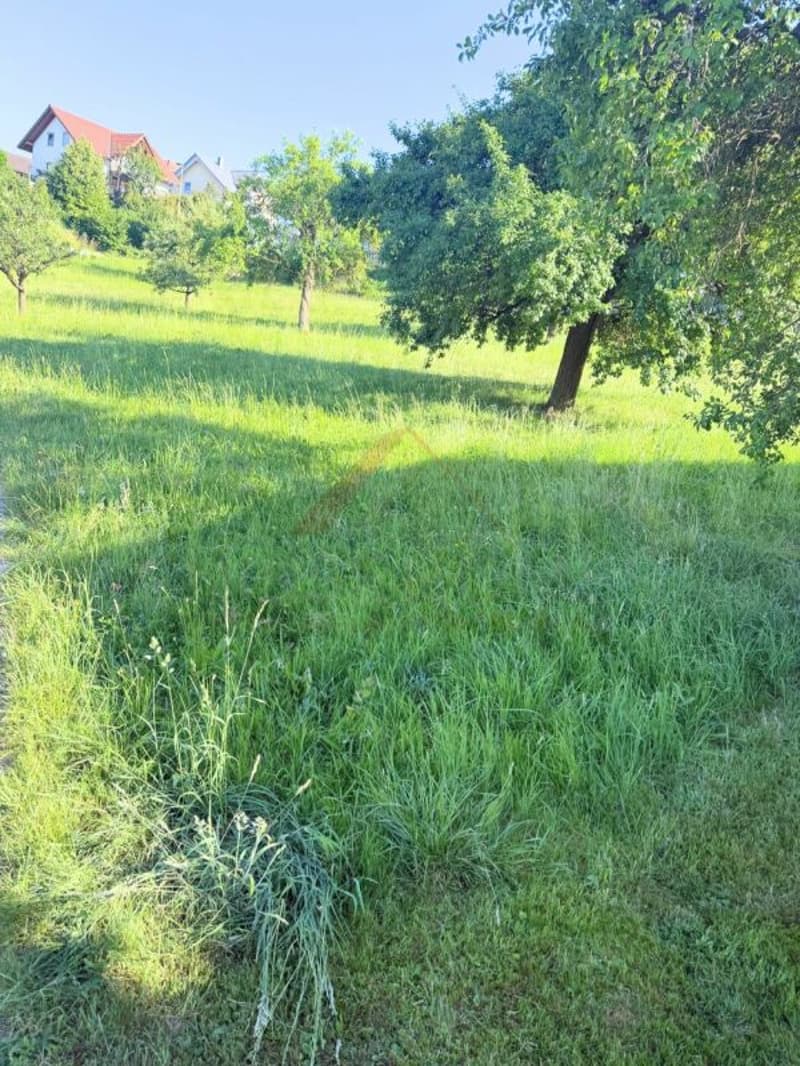 Sonnige Baulandparzelle mit Weitsicht - Verwirklichen Sie Ihren Wohntraum in Lampenberg (5)