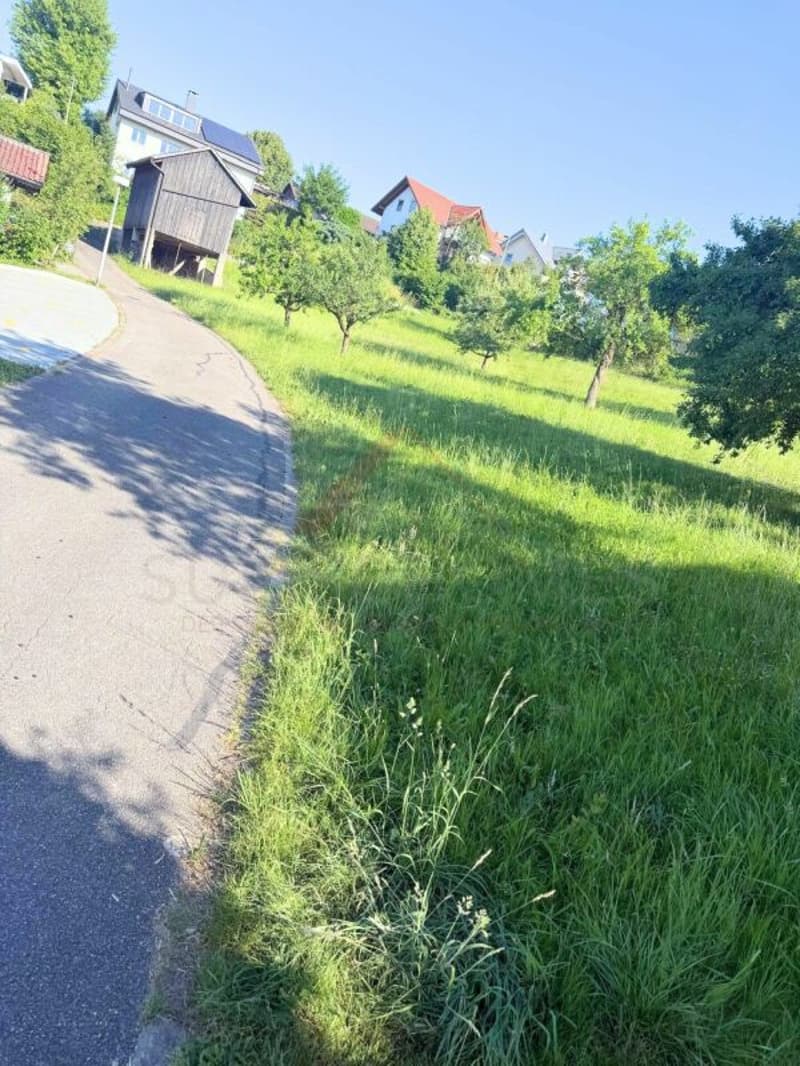 Sonnige Baulandparzelle mit Weitsicht - Verwirklichen Sie Ihren Wohntraum in Lampenberg (4)