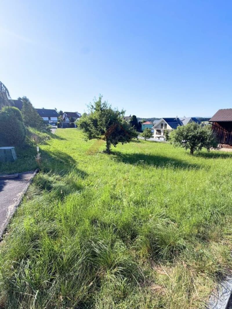 Sonnige Baulandparzelle mit Weitsicht - Verwirklichen Sie Ihren Wohntraum in Lampenberg (2)