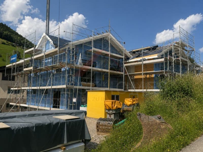 Modernes 6.5-Zimmer-Neubau-Einfamilienhaus in Seelisberg UR (6)