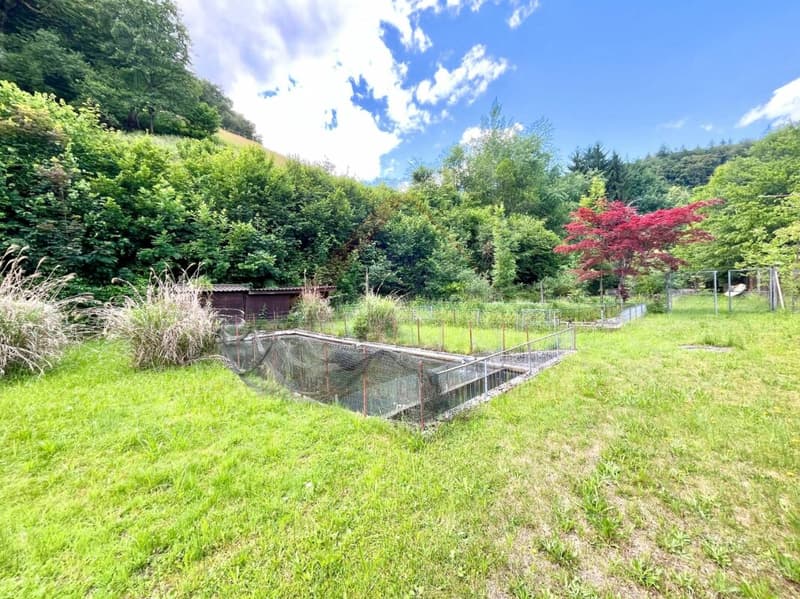 Naturparadies mit 7 Fischteichen - Einzigartige Freizeit- und Fischzuchtanlage in Gränichen (3)