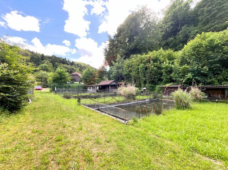 Naturparadies mit 7 Fischteichen - Einzigartige Freizeit- und Fischzuchtanlage in Gränichen (2)