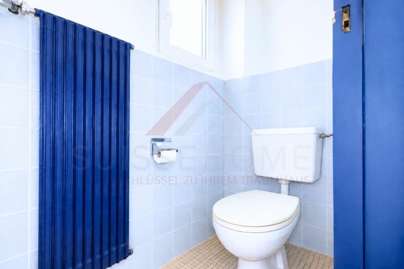 Traumhafte Seesicht am Bielersee  8.5 Zimmer Haus mit Pool und 1'443 m² Grundstück (18)