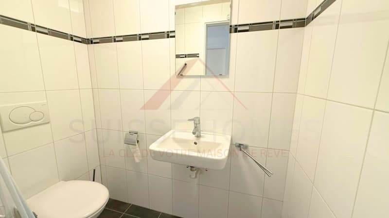 Aigle - Charmant 2,5 pièces lumineux proche de toutes commodités (8)