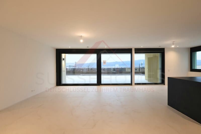 Erstbezug in Umiken - exklusives 4.5-Zimmer-Terrassenhaus mit 130 m² Terrasse (9)