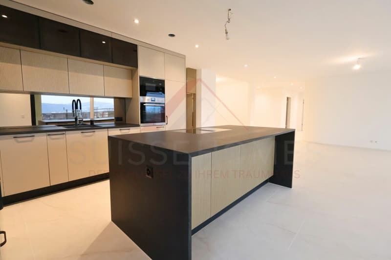 Erstbezug in Umiken - exklusives 4.5-Zimmer-Terrassenhaus mit 130 m² Terrasse (4)