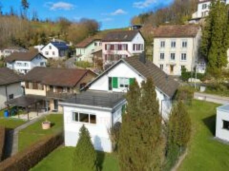 Maison de charme avec vue panoramique sur le château et deux belles terrasses (1)