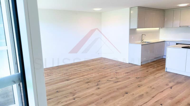 Stilvoll renovierte 3.5-Zimmer-Wohnung mit Balkon am grünen Stadtrand von Solothurn (8)