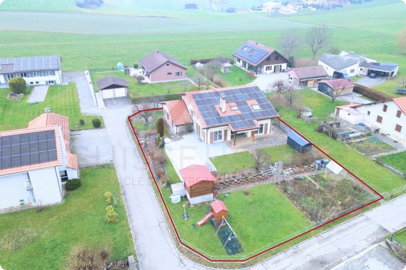 Maison familiale d'exception avec piscine, sauna et grand jardin à La Brillaz (2)