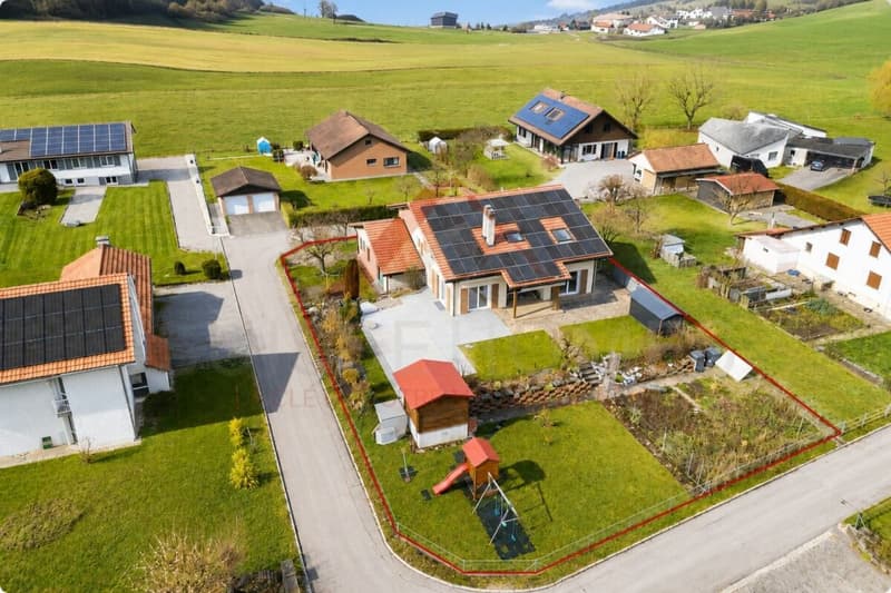 Maison familiale d'exception avec piscine, sauna et grand jardin à La Brillaz (2)