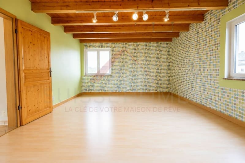 Maison familiale d'exception avec piscine, sauna et grand jardin à La Brillaz (17)