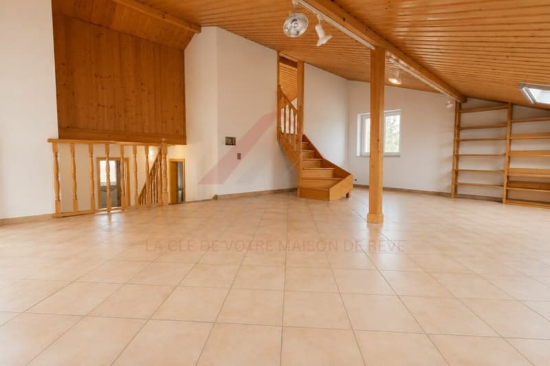 Maison familiale d'exception avec piscine, sauna et grand jardin à La Brillaz (10)